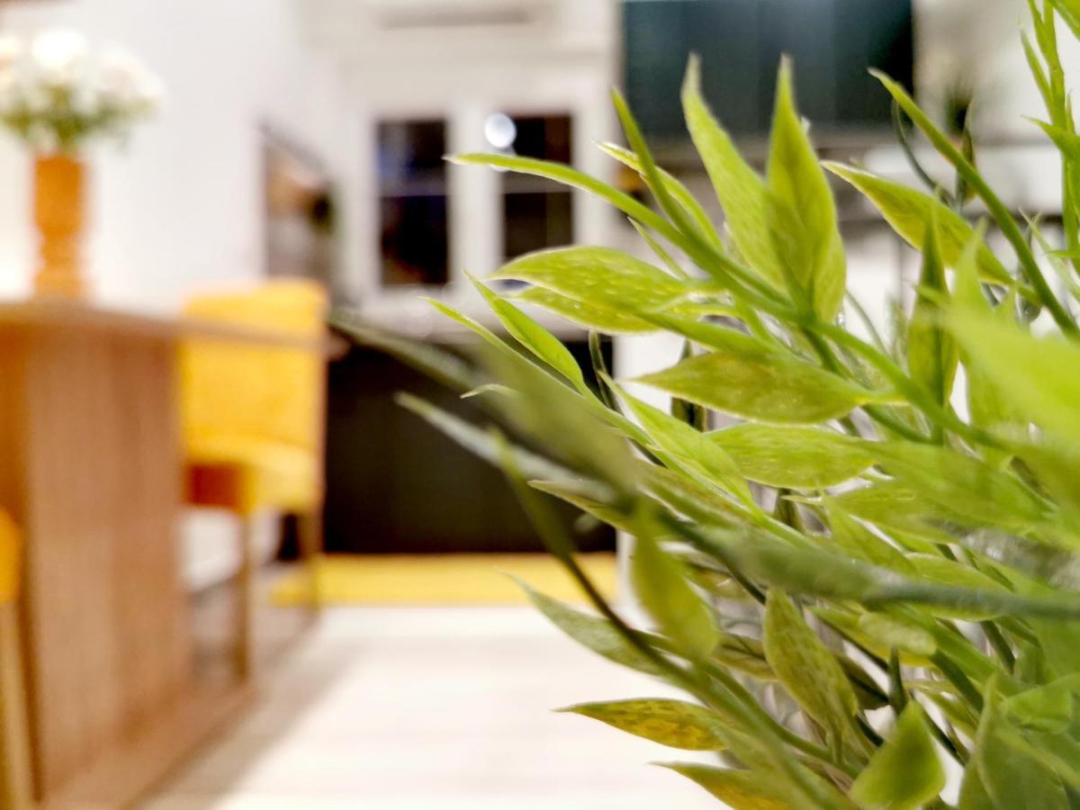 Apartments Lino سيلتسي المظهر الخارجي الصورة